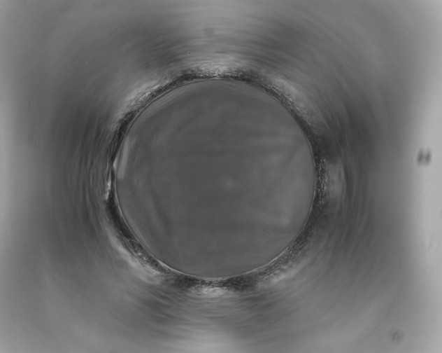 X0000091490590200709061902