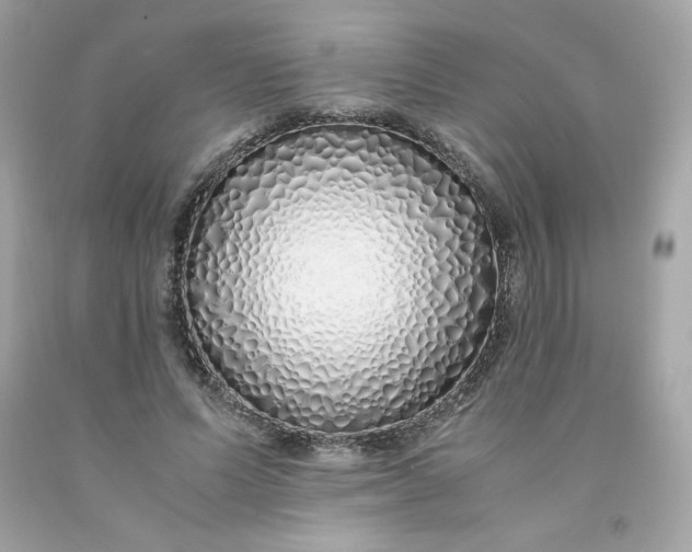 X0000091490591200709061902