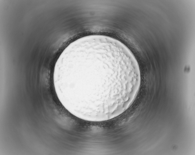 X0000091490592200709061902