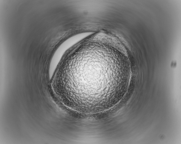 X0000091490593200709061902