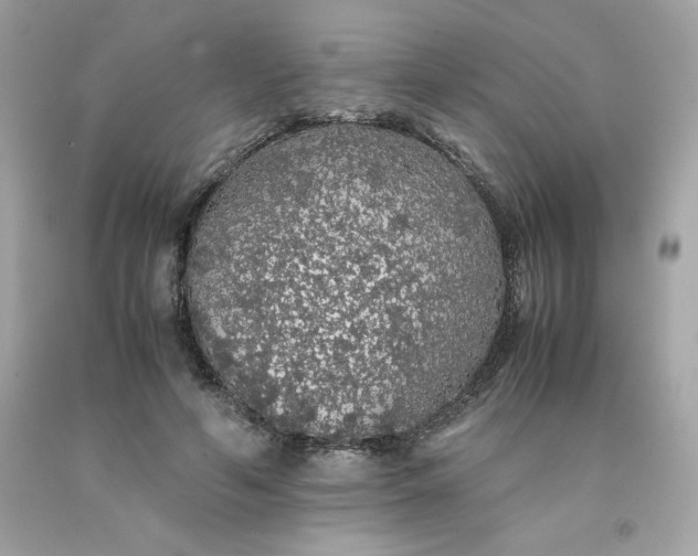 X0000091490594200709061902