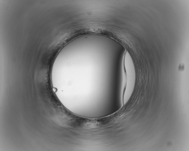 X0000091490595200709061902