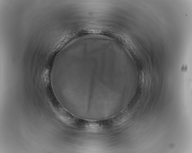 X0000091490598200709061902