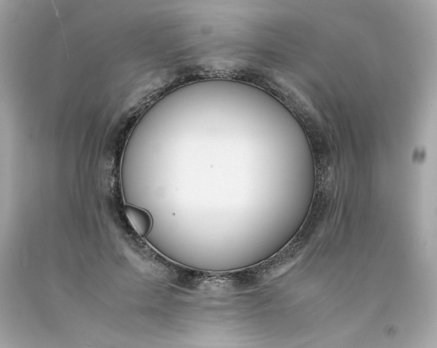 X0000091490599200709061902