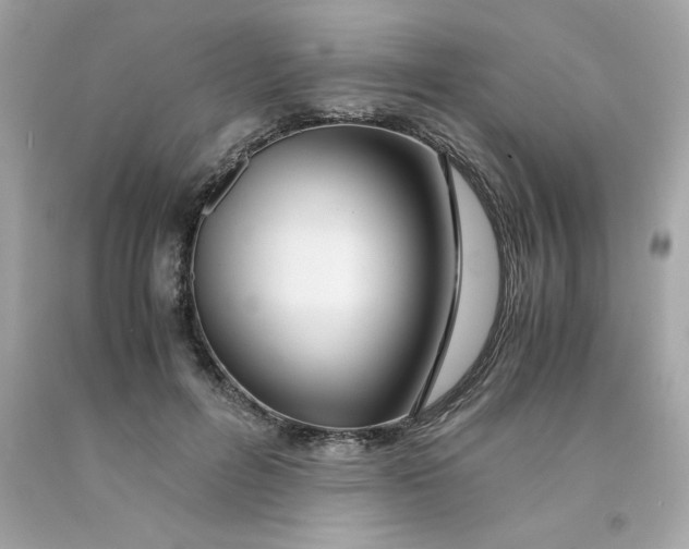 X0000091490600200709061902