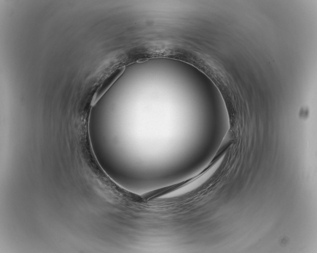 X0000091490601200709061902