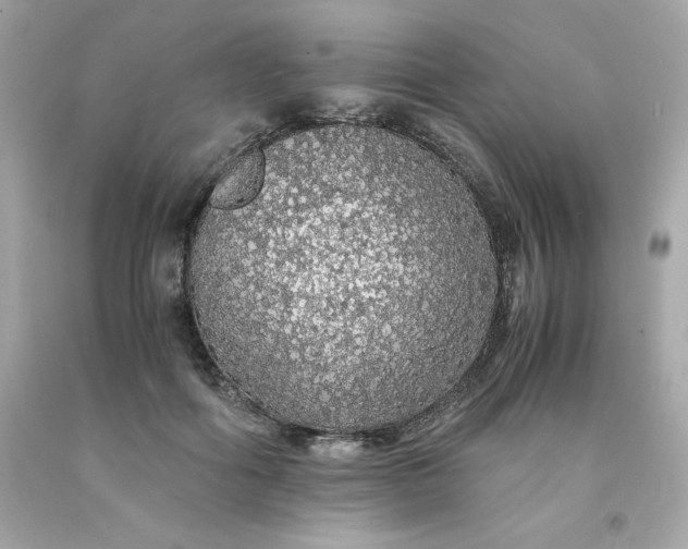 X0000091490602200709061902