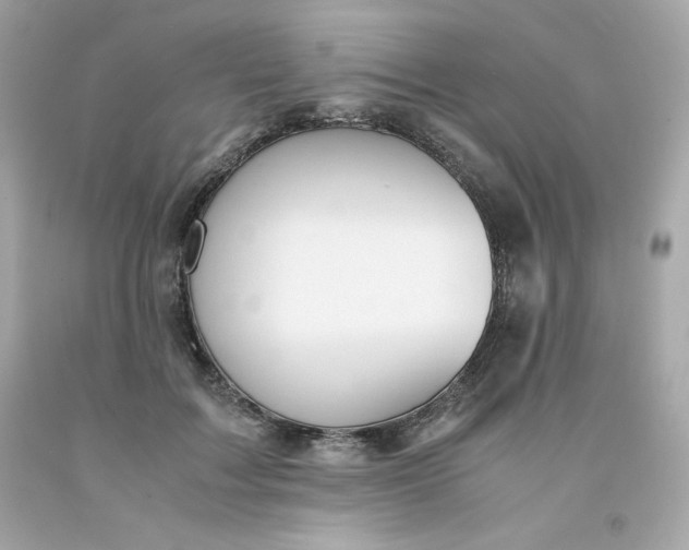 X0000091490603200709061902