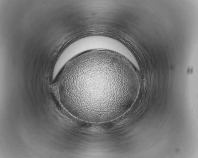 X0000091490604200709061902