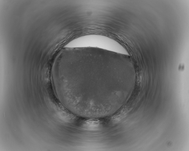 X0000091490606200709061902