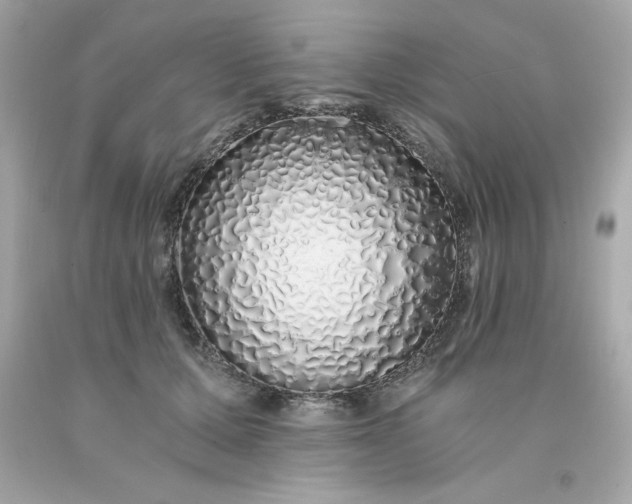 X0000091490607200709061902