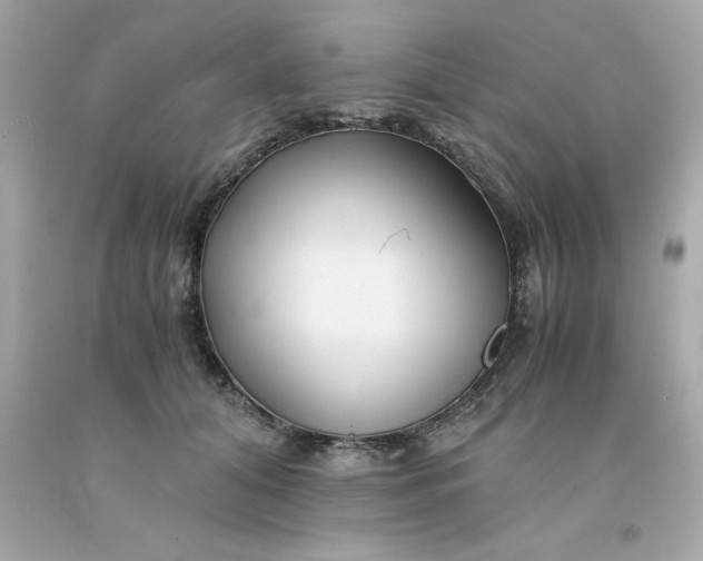 X0000091490608200709061902