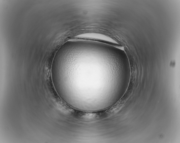 X0000091490609200709061902