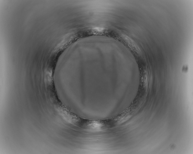 X0000091490610200709061902