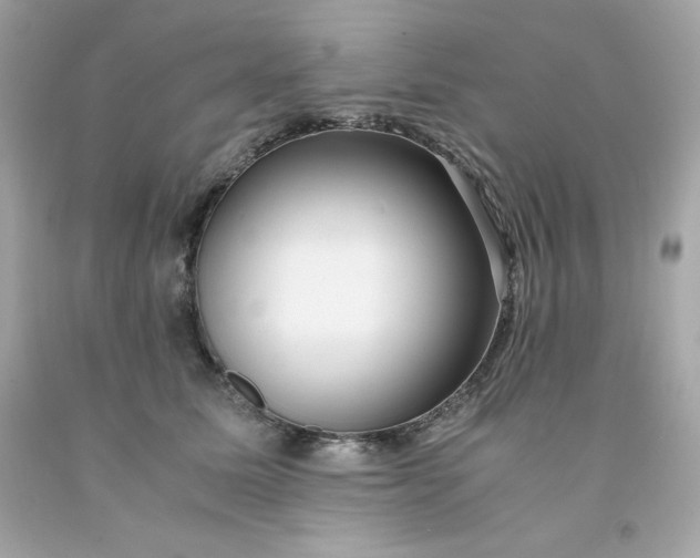 X0000091490611200709061902