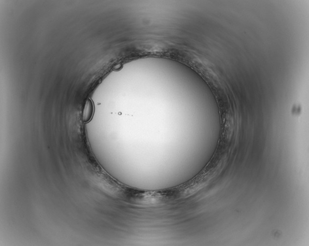 X0000091490612200709061902