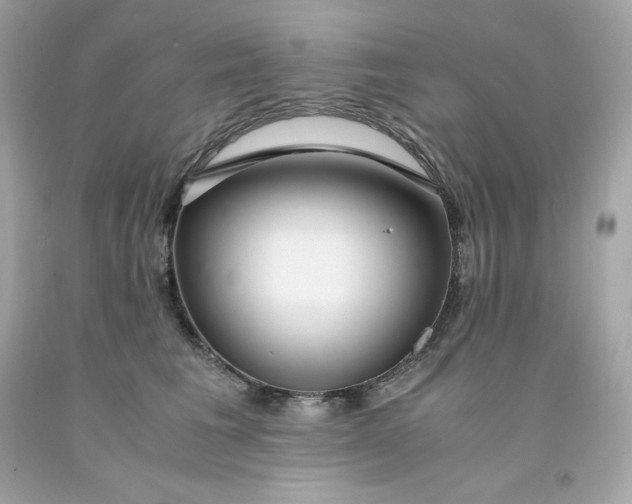 X0000091490613200709061902