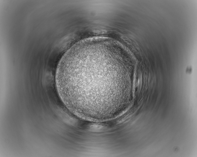 X0000091490614200709061902