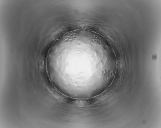 X0000091490615200709061902