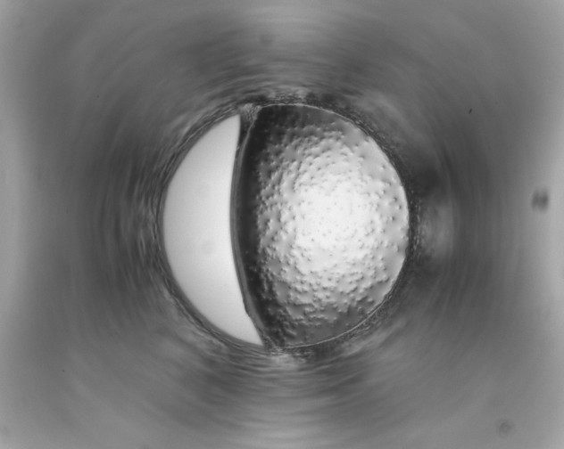 X0000091490616200709061902