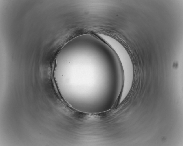 X0000091490617200709061902