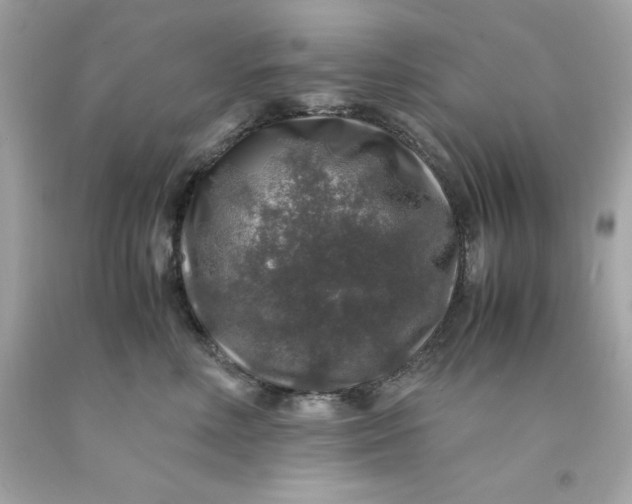 X0000091490618200709061902