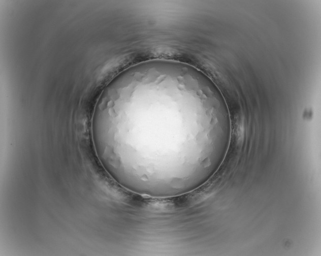 X0000091490619200709061902