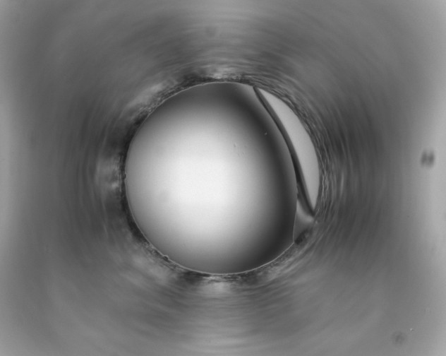 X0000091490620200709061902