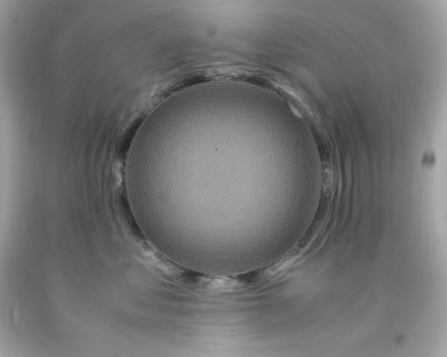 X0000091490621200709061902