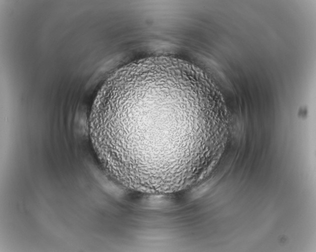 X0000091490622200709061902