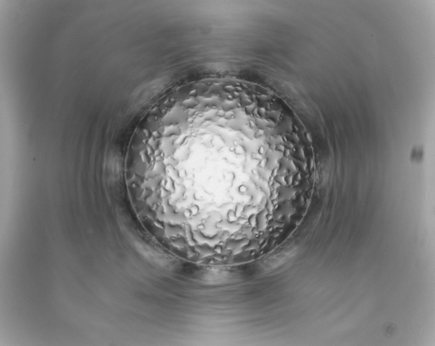 X0000091490623200709061902