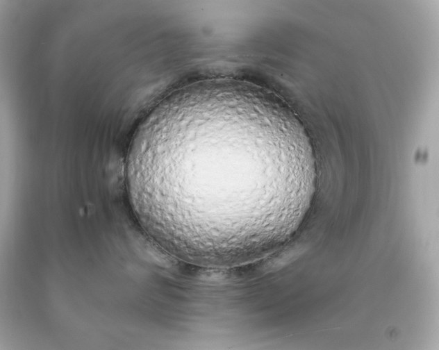 X0000091490624200709061902