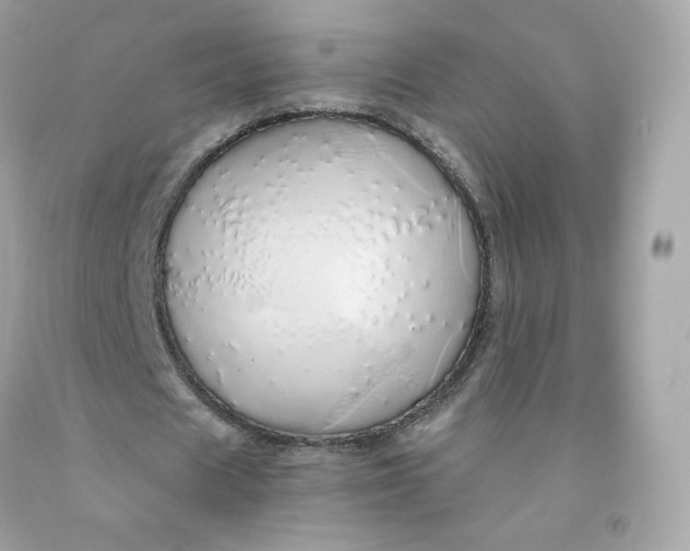 X0000091490625200709061901