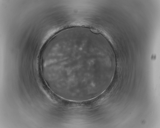 X0000091490626200709061901