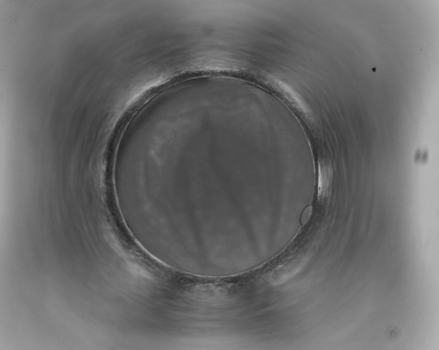 X0000091490627200709061901