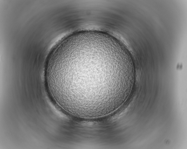 X0000091490629200709061901