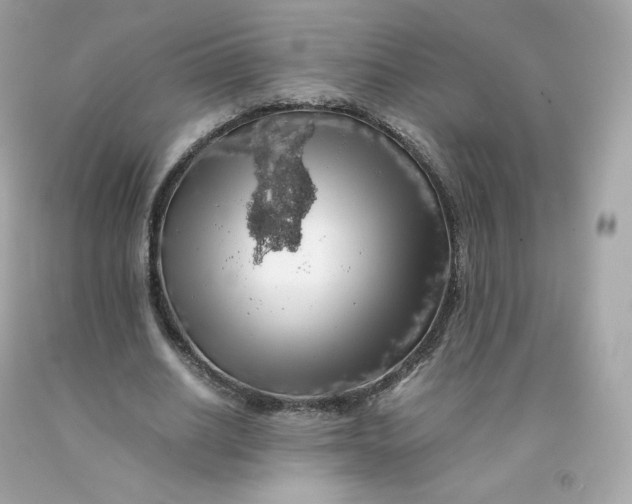 X0000091490630200709061901