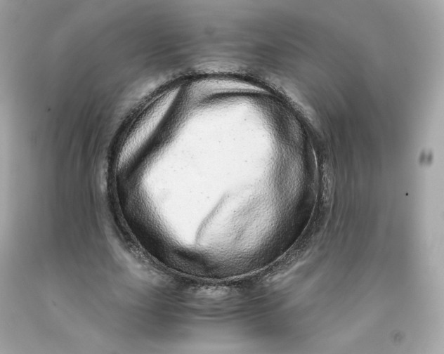 X0000091490631200709061901