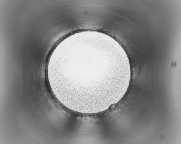 X0000091490632200709061901