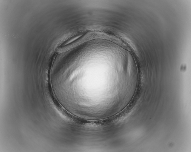 X0000091490633200709061901