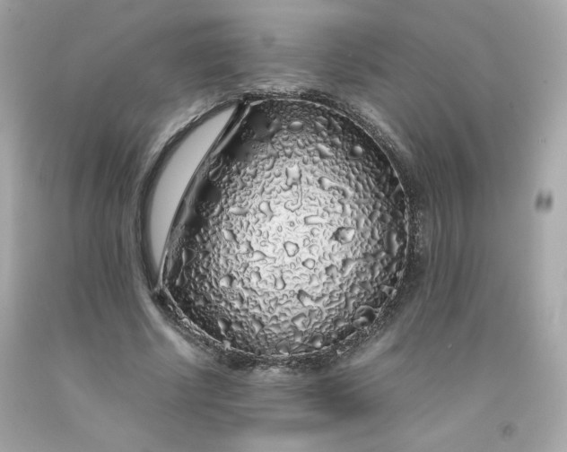 X0000091490634200709061901