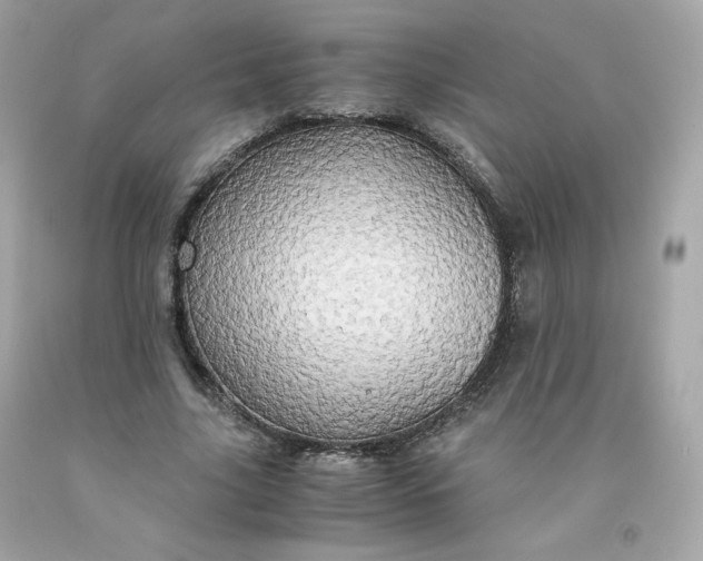 X0000091490635200709061901