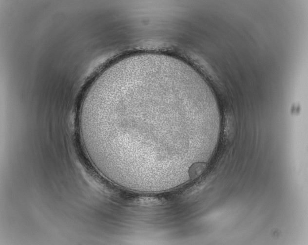 X0000091490636200709061901