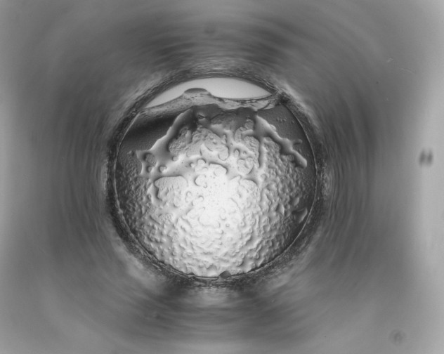 X0000091490637200709061901