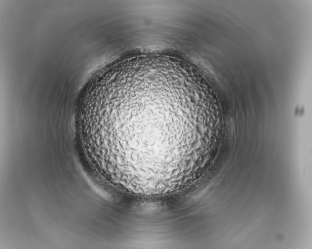 X0000091490638200709061901