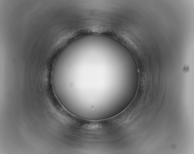 X0000091490639200709061901