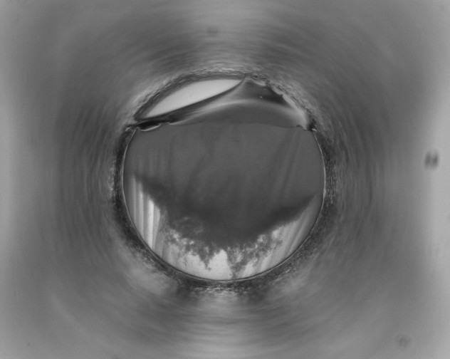 X0000091490640200709061901