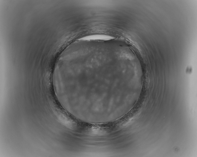 X0000091490641200709061901