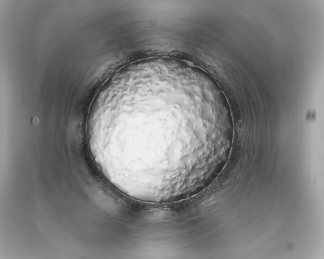 X0000091490642200709061901