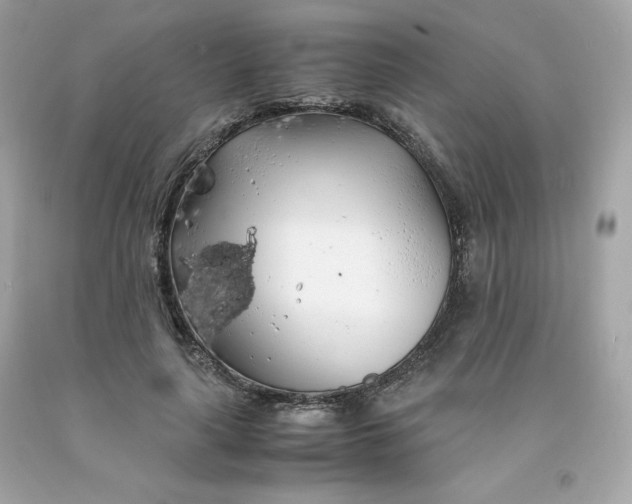 X0000091490643200709061901